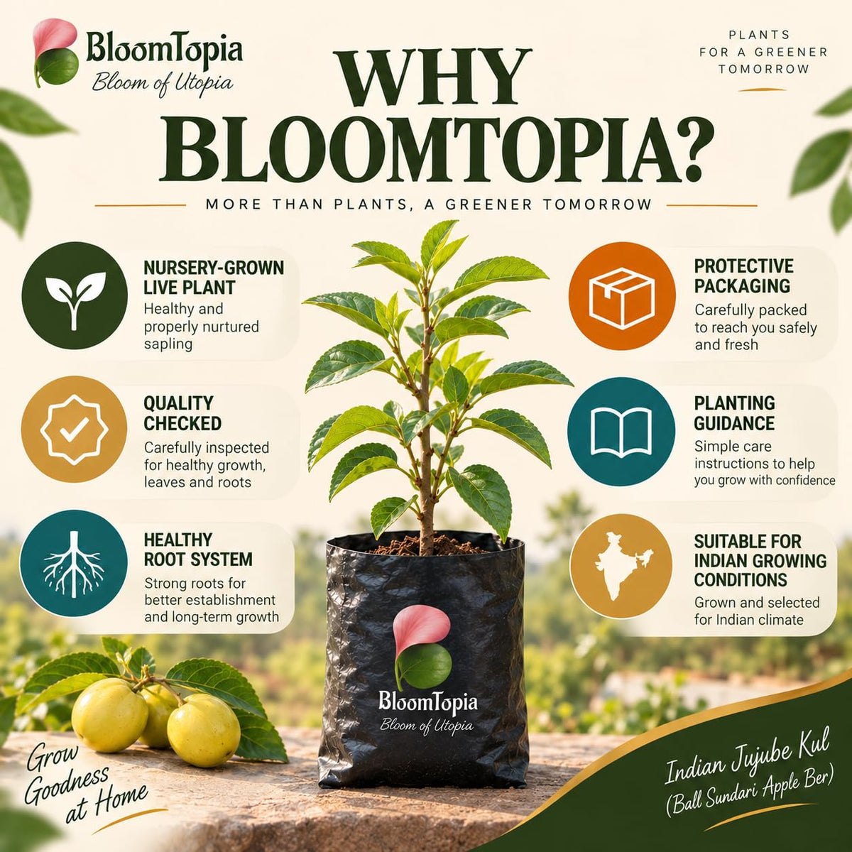 BloomTopia plant-handling and brand-information panel featuring Ball Sundari Apple Ber.