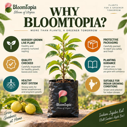 BloomTopia plant-handling and brand-information panel featuring Ball Sundari Apple Ber.