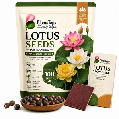 BloomTopia lotus seed pouch beside illustrated lotus flowers and seeds.