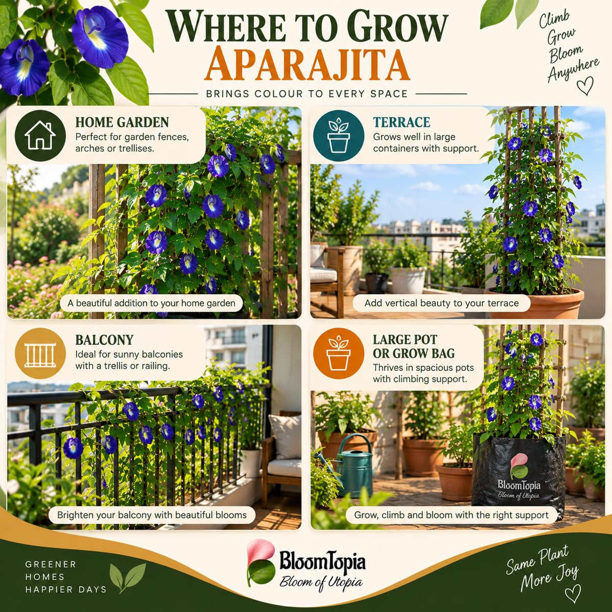 Illustrated growing locations for Aparajita.