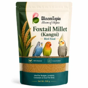 Foxtail Millet (Kangni) Bird Food – 500 g