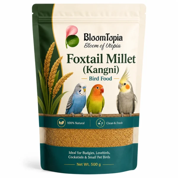 bloomtopia-foxtail-millet Foxtail Millet (Kangni) Bird Food – 500 g