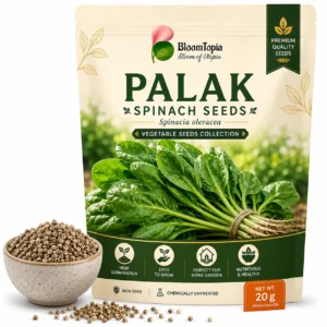 Palak (Spinach) Vegetable Seeds – 20 g