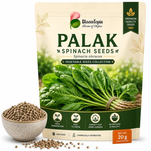 Palak (Spinach) Vegetable Seeds – 20 g
